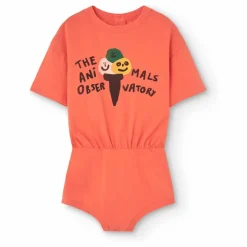 Best The Animals Observatory Combishort Koala Glace | Corail