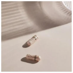 Holidermie Complément alimentaire Ménopause - 60 gélules