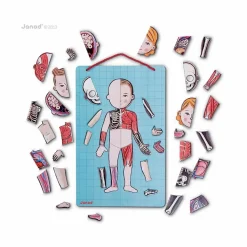 New Janod Corps magnétique - 11 langues Multicolore