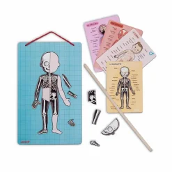 New Janod Corps magnétique - 11 langues Multicolore