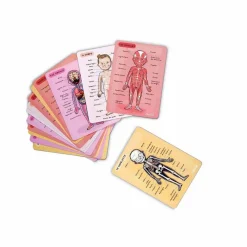 New Janod Corps magnétique - 11 langues Multicolore