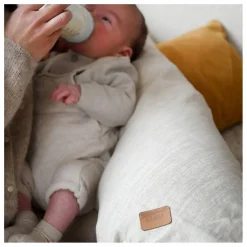 Béaba Coussin d'allaitement Big Flopsy | Lin Best