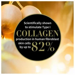 Antipodes Crème contour des yeux à l'huile de kiwi - 30 ml Non teinté Sale