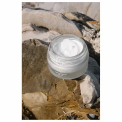 Hot Alaena Crème hydratante anti-âge - 50ml Non teinté