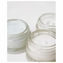 Femme Alaena Soins Du Visage|Crème hydratante peaux sensibles - 50ml