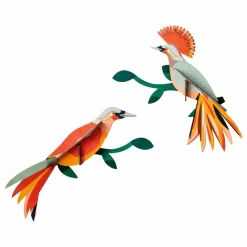 Studio Roof Déco Murale, Papier Peint|Décoration murale Oiseau Obi