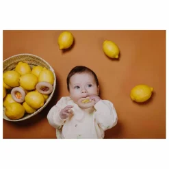 Petit Boum Donut sensoriel Citrons