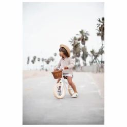 Banwood Draisienne First Go 12