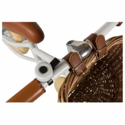 Banwood Draisienne First Go 12