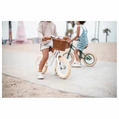 Banwood Draisienne First Go 12