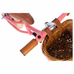 Banwood Draisienne First Go 12