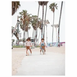 Banwood Draisienne First Go 12