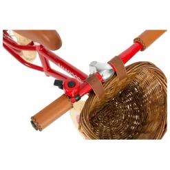 Banwood Draisienne First Go 12