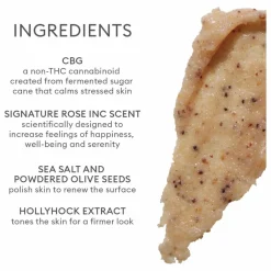 Femme Rose Inc Soins Du Corps|Exfoliant pour le corps