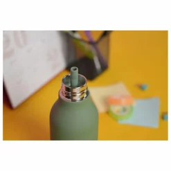 Enfant Asobu Gourde en inox Dinosaure |