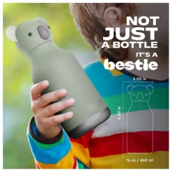 Enfant Asobu Gourde en inox Koala |