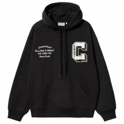 Homme Carhartt WIP Sweats, Pulls|Hoodie Brown Ducks |