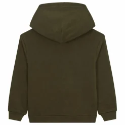 Ralph Lauren Hoodie Logo | Vert kaki