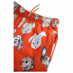 Best Molo Jogger Adan Coton Bio | Orange