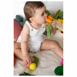 Oli & Carol Jouet de dentition Cathy la carotte Orange Clearance