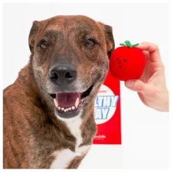 The Furry Folks Jouet de fouille Cherry Tomato | Rouge tomate