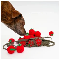 The Furry Folks Jouet de fouille Cherry Tomato | Rouge tomate