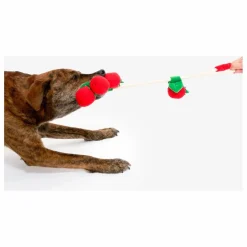 The Furry Folks Jouet de fouille Cherry Tomato | Rouge tomate