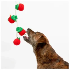 The Furry Folks Jouet de fouille Cherry Tomato | Rouge tomate