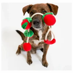 The Furry Folks Jouet de fouille Cherry Tomato | Rouge tomate