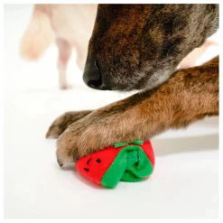 The Furry Folks Jouet de fouille Cherry Tomato | Rouge tomate