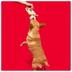 The Furry Folks Jouet de fouille Pizza Multicolore