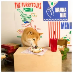 The Furry Folks Jouet de fouille Pizza Multicolore