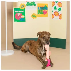 The Furry Folks Jouet de fouille Radish |