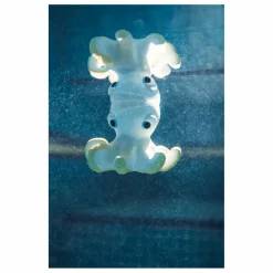 Oli & Carol Jouets D'Éveil|Jouets D'Éveil|Jouet pour le bain Orlando la pieuvre