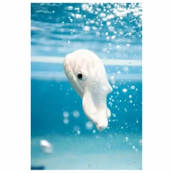Oli & Carol Jouet pour le bain Walter la baleine Blanc Hot