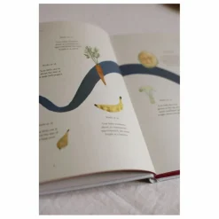 Hot Specialday Journal de grossesse My Pregnancy - EN | Bleu gris