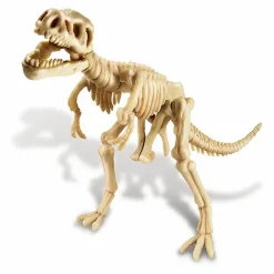 Discount 4M Kit déterre ton dinosaure T-Rex Multicolore