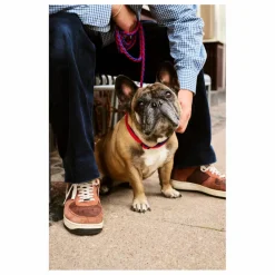 Outlet Hay Laisse réglable | Bleu