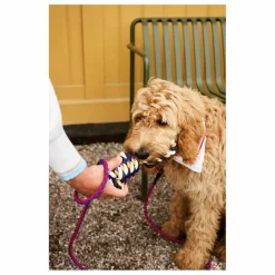 Outlet Hay Laisse réglable | Bleu