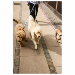 Outlet Hay Laisse réglable | Bleu