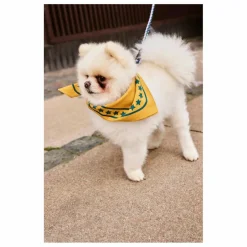 Hay Accessoires Animaux|Laisse réglable |