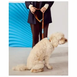 Approved by Fritz Laisse réglable pour chien | Chocolat Online