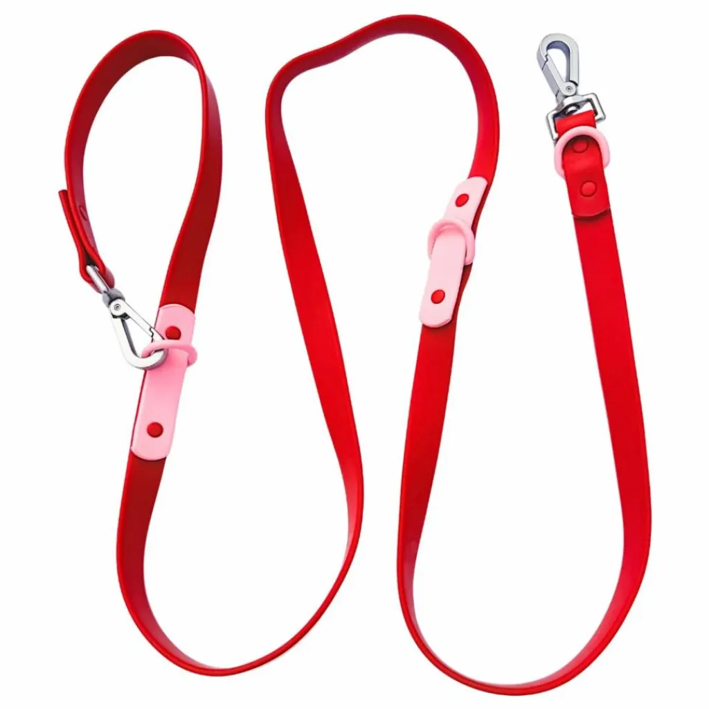 Approved by Fritz Accessoires Animaux|Laisse réglable pour chien |