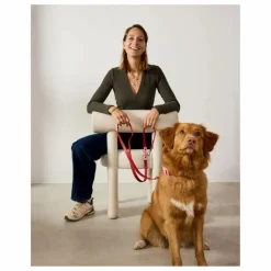 Approved by Fritz Accessoires Animaux|Laisse réglable pour chien |