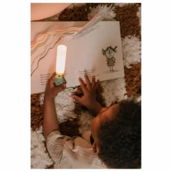 The Zoofamily Lampe de poche Dino |