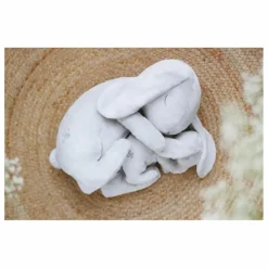 Clearance Tartine et Chocolat Lapin dormeur | Gris clair