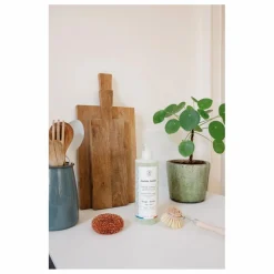 Andrée Jardin Liquide vaisselle Sauge Basilic - 500 ml Non teinté Sale