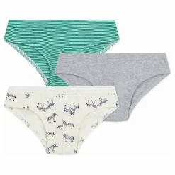 Petit Bateau Lot 3 Slips Zèbres | Gris chiné New