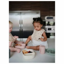 Online Mushie Lunchbox | Blush