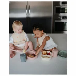 Online Mushie Lunchbox | Blush